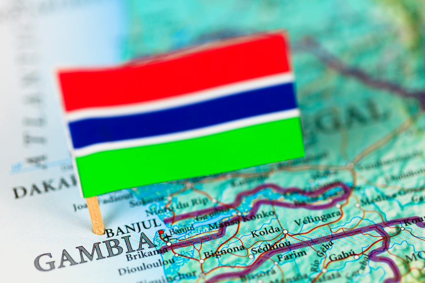 Gambia auditor general removal
