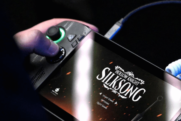 Silksong Launch Store Crash