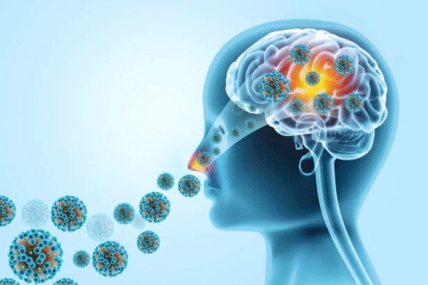 Kerala brain eating amoeba