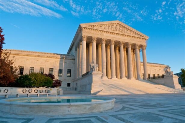 Trump tariff court appeal