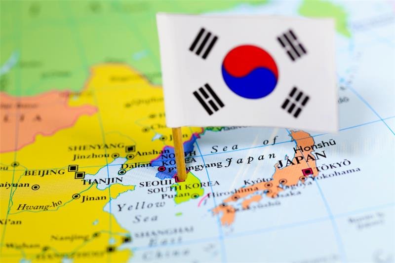 US raid Hyundai-LG plant