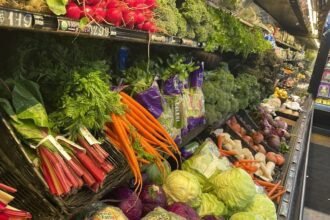 D.C. SNAP Benefits Freeze