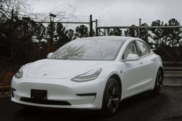 Tesla EV Rental Program