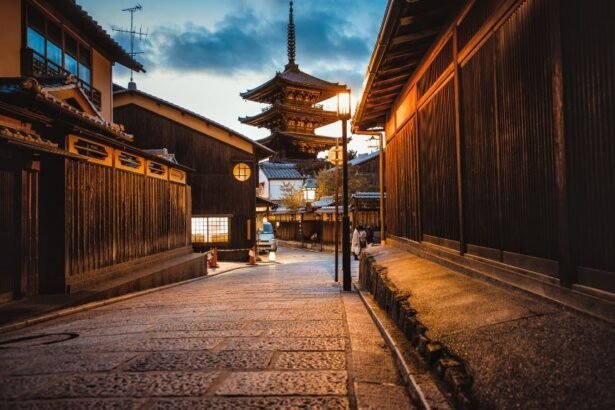 Japan China travel boycott