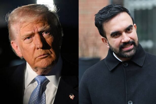 Trump, Mamdani meeting