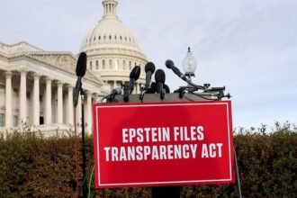 Epstein file redactions